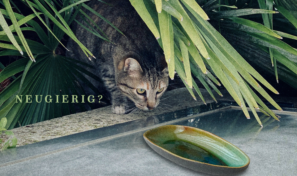 Handgemachte Keramik aus Portugal - SeaRamica - neugierige Katze